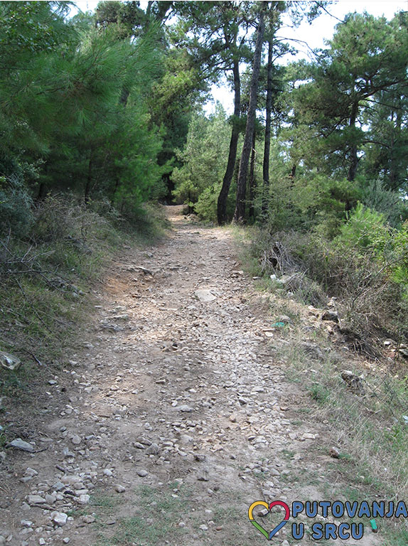 Slika